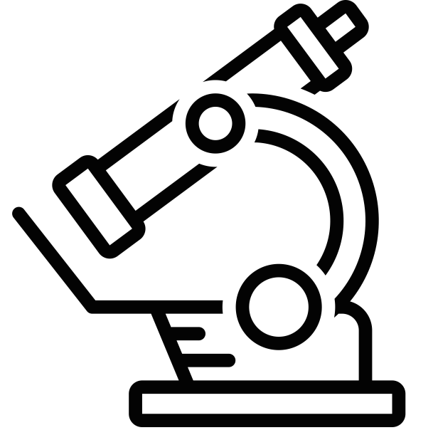 noun_Microscope_2462643 Bombyx PLM